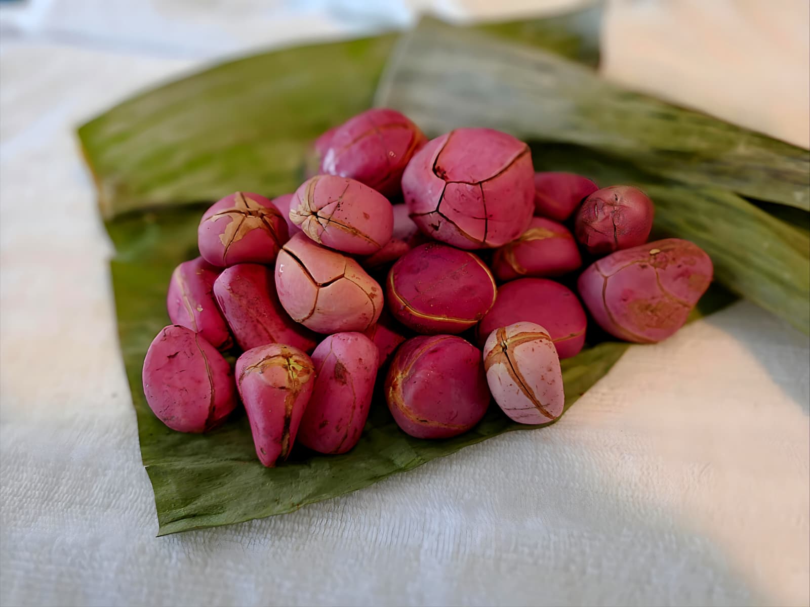 Fresh Nigerian Obi Abata (Whole Kola Nuts)