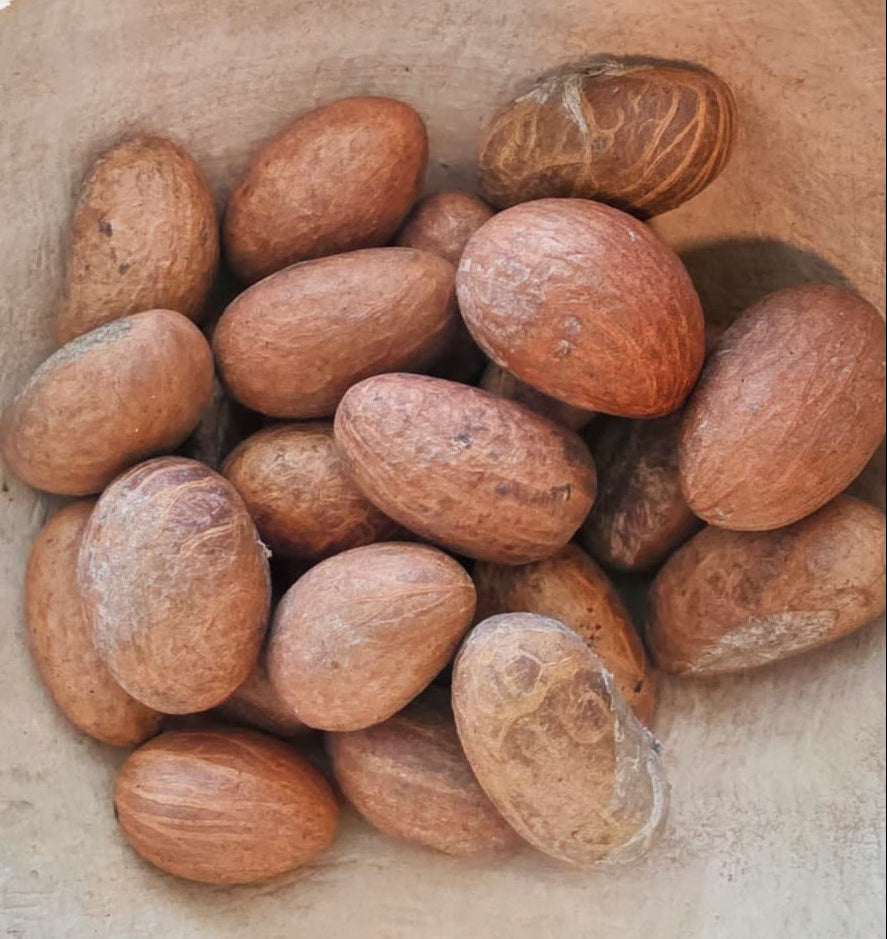Fresh Nigerian Orogbo (Whole Bitter Kola)